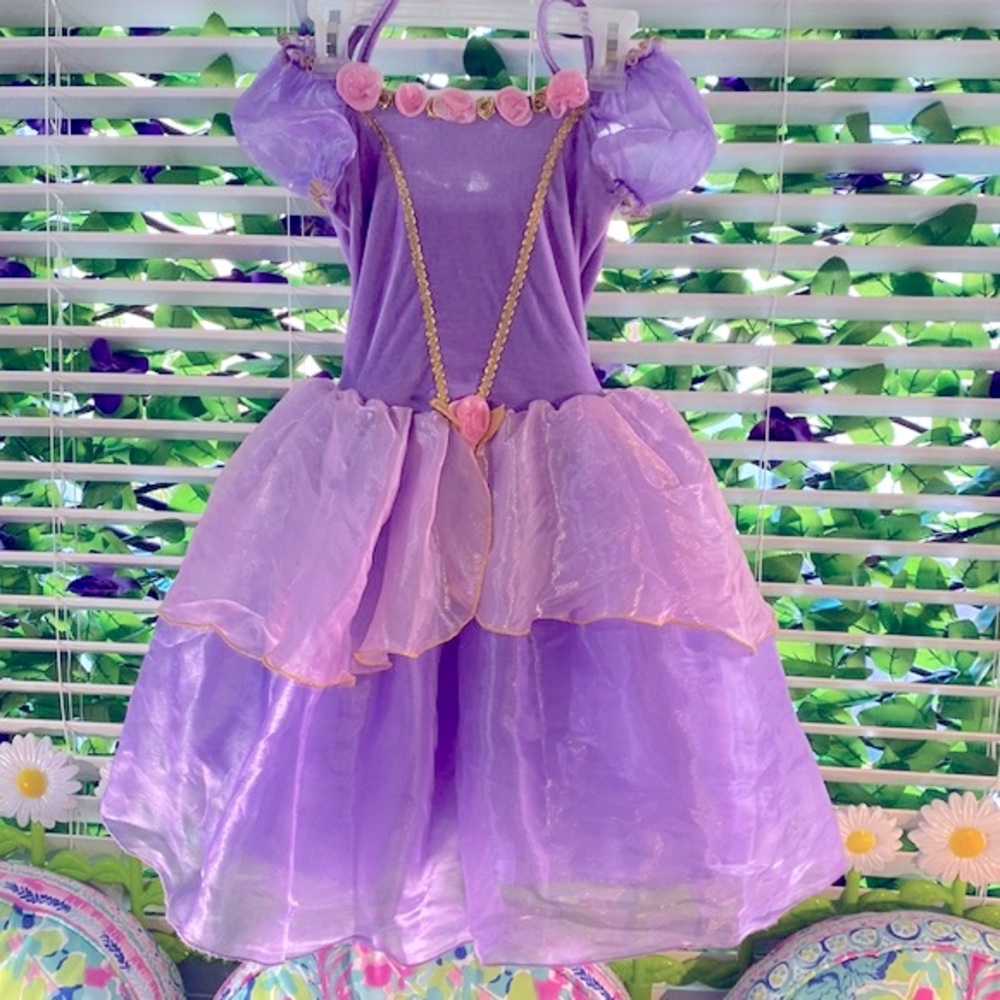 Cinderella costume/princess gown velvet + pink satin rosebuds